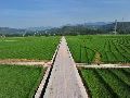 李XX、李XX等与清镇市人民政府等资源行政管理:土地行政管理(土地)一审行政裁定书