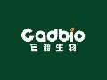 河南某某兽药制造有限公司与梁某某债权纠纷一案